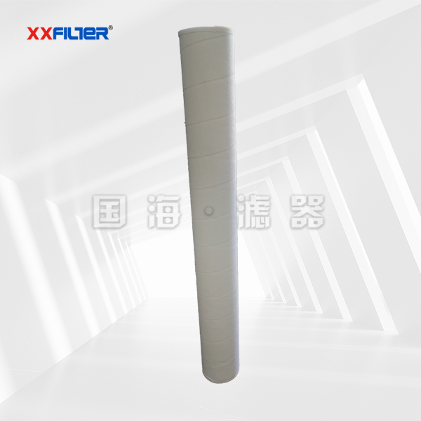 PECOFGGF系列 燃?xì)膺^(guò)濾器濾芯